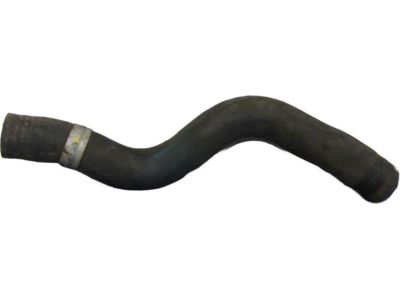 Acura RDX Radiator Hose - 19501-R8A-A01