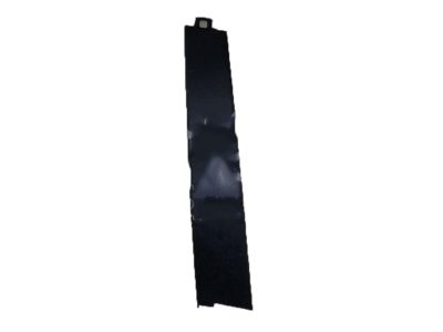 Acura TSX Door Moldings - 72430-TL0-003