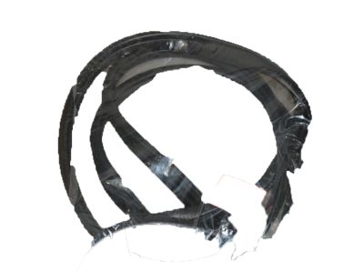 2011 Acura RDX Weather Strip - 72355-STK-305