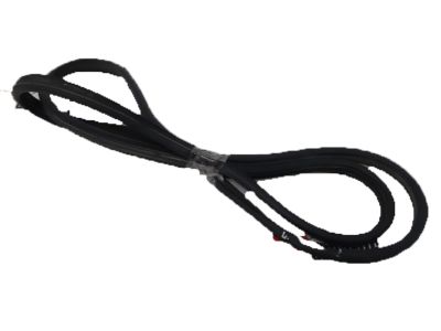 Genuine Acura TSX Weather Strip