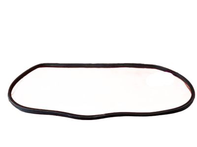 Acura TL Door Seal - 72815-SEP-A01ZA