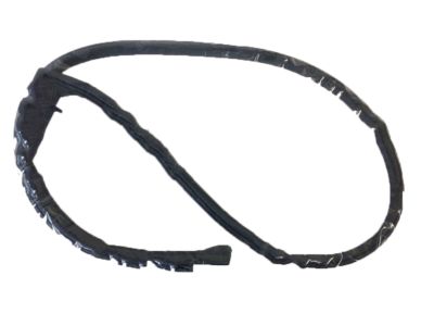 2006 Acura RSX Weather Strip - 72325-S6M-003