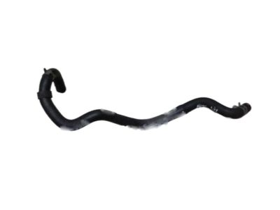 Acura Brake Booster Vacuum Hose - 46402-SEA-A01
