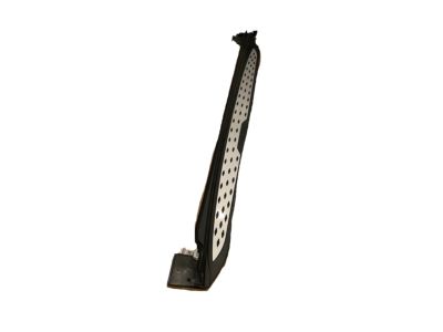 08L33-TZ5-200D1 Acura Passenger Side Running Board Assembly Product Photo 1 of 1