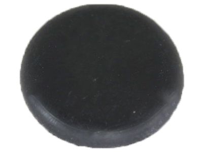 Acura 90851-SL0-003 Blind Plug