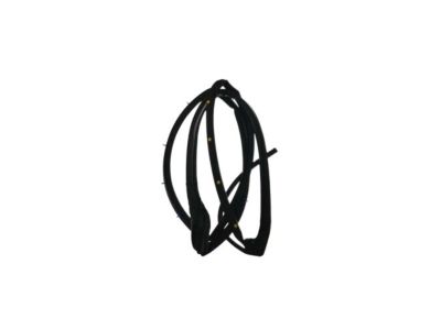 Acura TSX Weather Strip - 72350-TL0-J01