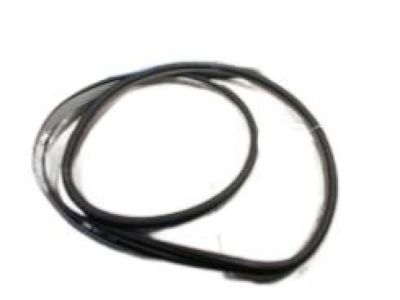 2009 Acura TSX Door Seal - 72815-TL0-003ZB