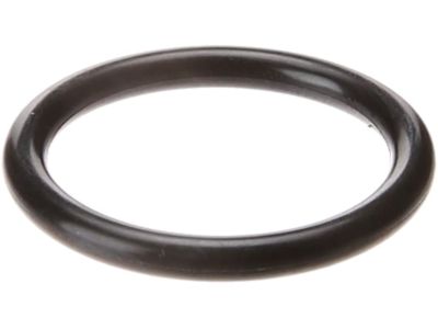 2002 Acura RL Fuel Injector O-Ring - 91308-PY3-000