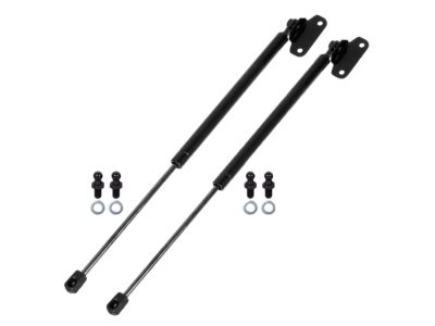 Acura 74145-SZ5-315 Lift Supports Struts