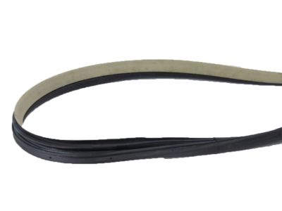 Acura 72365-SEP-A11 Left Front Door Sub-Seal