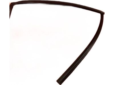 2008 Acura TSX Window Run - 72735-SEA-013