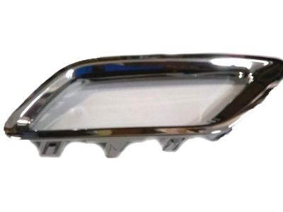 Acura 71517-TZ5-A00 Left Rear Bezel