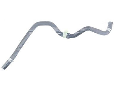 2001 Acura RL Brake Booster Vacuum Hose - 46402-SZ3-A01