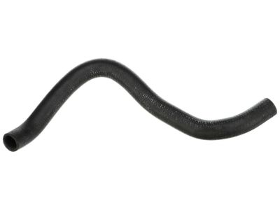 Acura 19502-58K-H00 Water Hose (Lower)