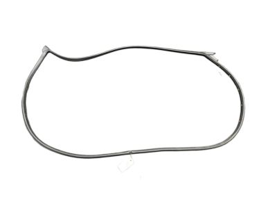 2020 Acura RDX Weather Strip - 72350-TJB-A01