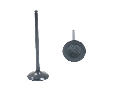 Acura Integra Intake Valve - 14711-PR3-000