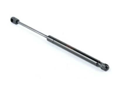 Acura Lift Support - 74145-SEP-H01