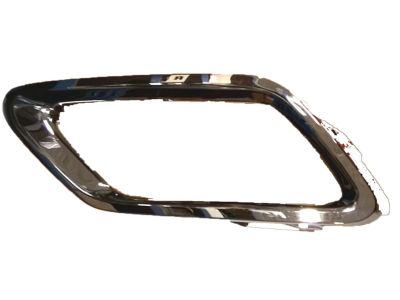 Acura 71512-TZ5-A00 Right Rear Bezel