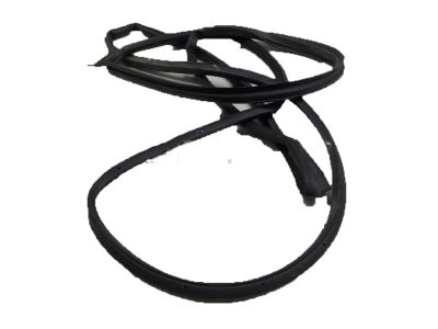 2007 Acura RDX Weather Strip - 72350-STK-A01