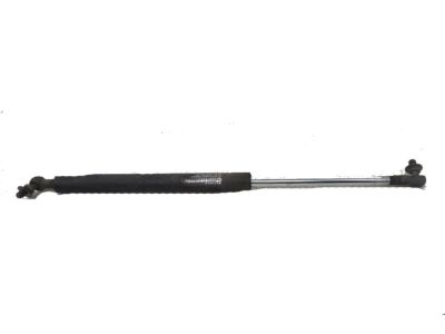 2002 Acura RSX Tailgate Lift Support - 04746-S6M-010