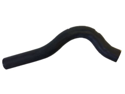 Acura Integra Radiator Hose - 19501-P73-010