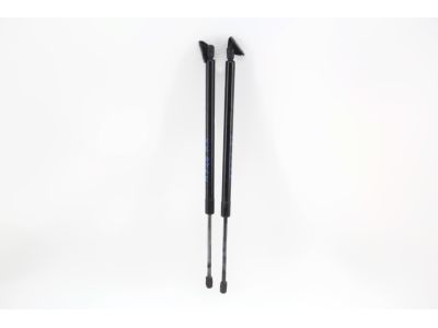 Acura Tailgate Lift Support - 74870-STX-A22