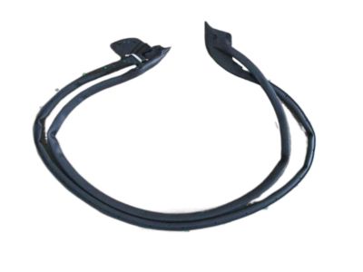 2001 Acura NSX Weather Strip - 72310-SL0-023