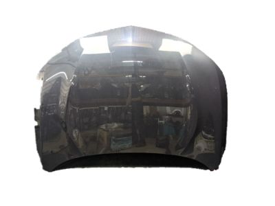 Acura RDX Hood - 60100-TJB-A92ZZ