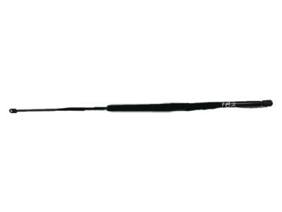 Acura Tailgate Lift Support - 74870-ST7-305