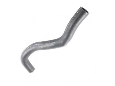 2012 Acura TSX Radiator Hose - 19501-RL5-A01