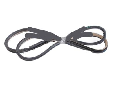 Acura TSX Weather Strip - 72365-SEA-033