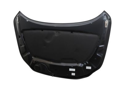 Acura Integra Hood - 60100-3S5-A00ZZ