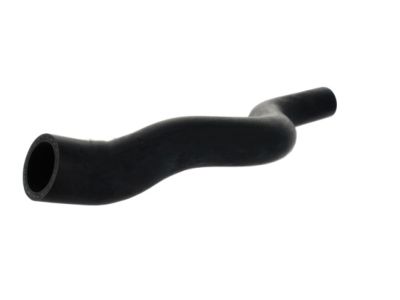 Acura 19501-RYE-A10 Water Hose (Upper)