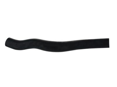 Acura 19501-RYE-A10 Water Hose (Upper)