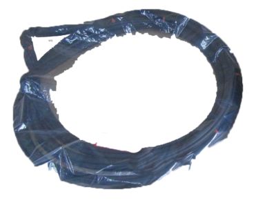 Acura RSX Door Seal - 72310-S6M-003