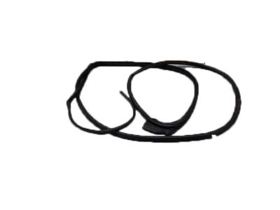 Acura TLX Door Seal - 72810-TZ3-A01