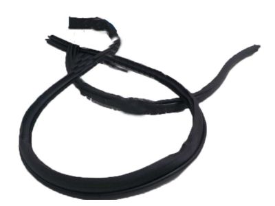 Acura 72350-S3V-A01 Front Door-Weatherstrip Left