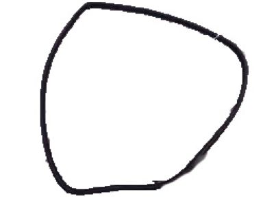 Acura 72355-SEA-013ZA Left Front Door Opening Seal (Graphite Black)