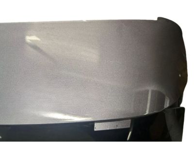 Acura Tailgates - 68100-TJB-A93ZZ