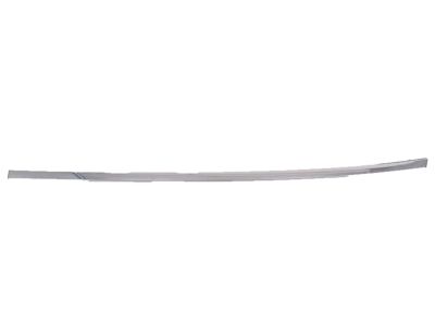 Acura 72925-TZ5-A01 Door Sash Molding Assembly