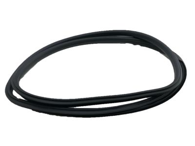 Acura TSX Weather Strip - 72325-SEA-033