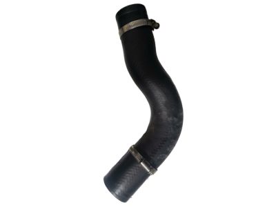 Acura 17293-6B2-A01 Intercooler Outlet (B) Hose