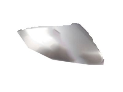 2008 Acura TL Mirror Cover - 76201-SEP-A11ZA