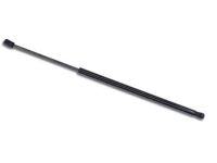 Acura 74145-SZN-A02 Lift Supports Struts Replacement Fit