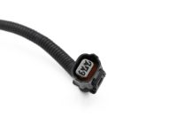 Acura 28156-5XY-000 Holder, Transmission Harness