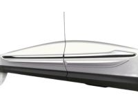 Acura 72910-TYA-A11 Molding, Rear Right Door