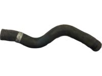 Acura 19501-R8A-A01 Water Hose (Upper)