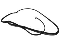 Acura 72810-TGV-A01 Weatherstrip, Right Rear Acura 72810-TGV-A01 Weatherstrip, Right Rear