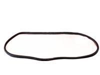 Acura 72815-SEP-A01ZA Right Rear Door Opening Seal (Graphite Black)