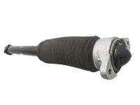 Acura 52611-TJB-A02 Rear Damper Unit Acura 52611-TJB-A02 Rear Damper Unit